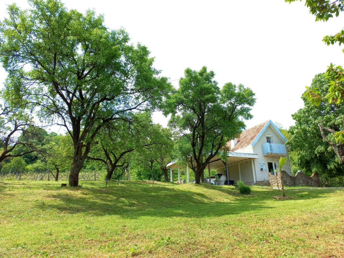 Honey Hill Apartment Fruska Gora Cerevic Exterior foto