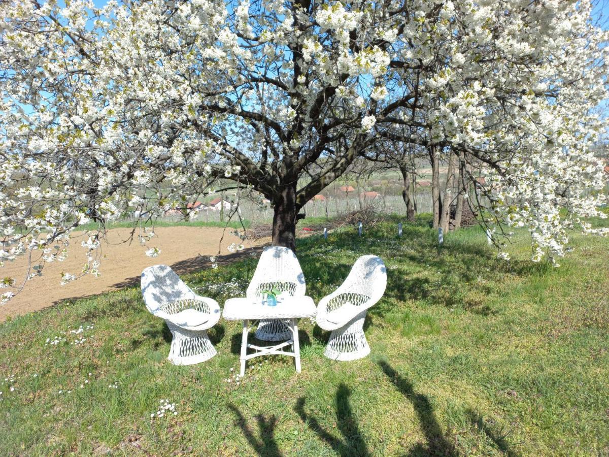 Honey Hill Apartment Fruska Gora Cerevic Exterior foto
